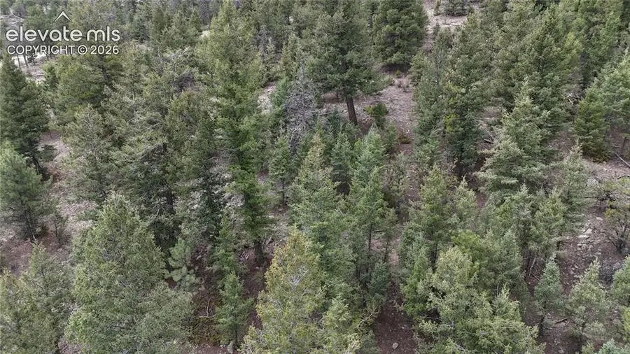 4943 County Road 11, Florissant, CO 80816 - #3