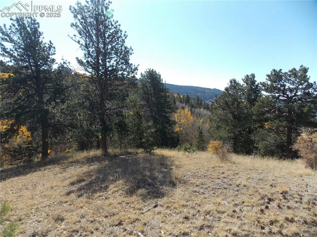 1944 May Queen Drive, Cripple Creek, CO 80813 - #1