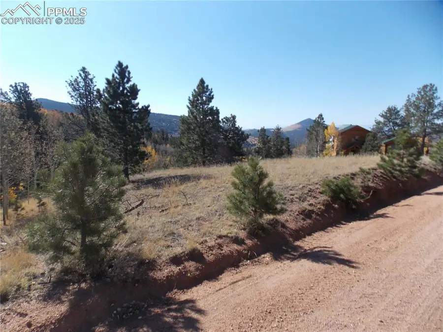 1944 May Queen Drive, Cripple Creek, CO 80813 - #2