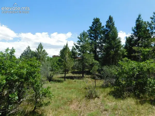 6447 Thunderbird Road, Larkspur, CO 80118