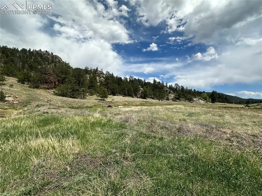 2332 County Road, Florissant, CO 80816 - #2