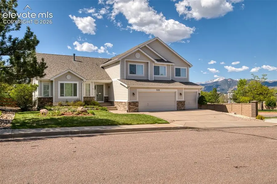705 Witchhazel Court, Colorado Springs, CO 80921 - #2