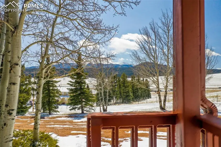 251 County Road 25, Divide, CO 80814 - #3