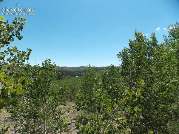 615 Valley Drive, Florissant, CO 80816