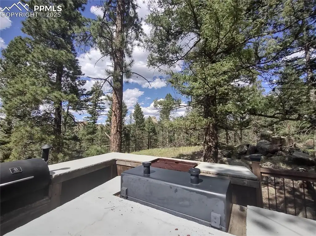 1176 Trail Creek Road, Lake George, CO 80827 - Image #1