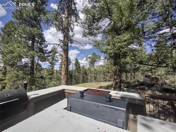 1176 Trail Creek Road, Lake George, CO 80827