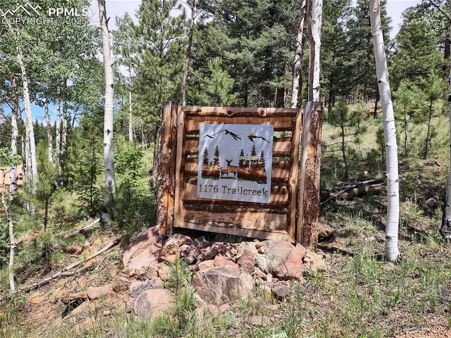 1176 Trail Creek Road, Lake George, CO 80827 - Image #3