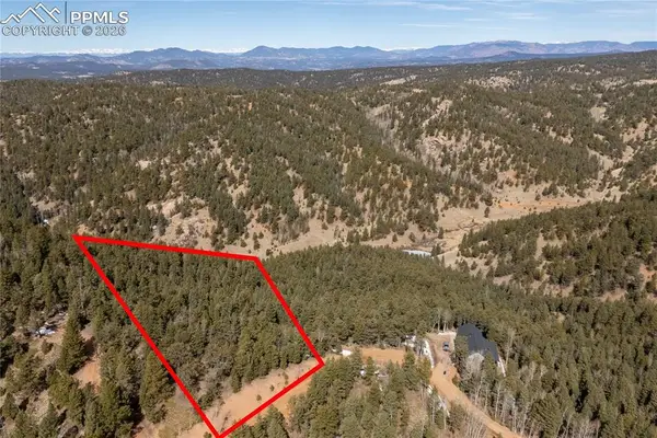 107 Haven Road, Divide, CO 80814