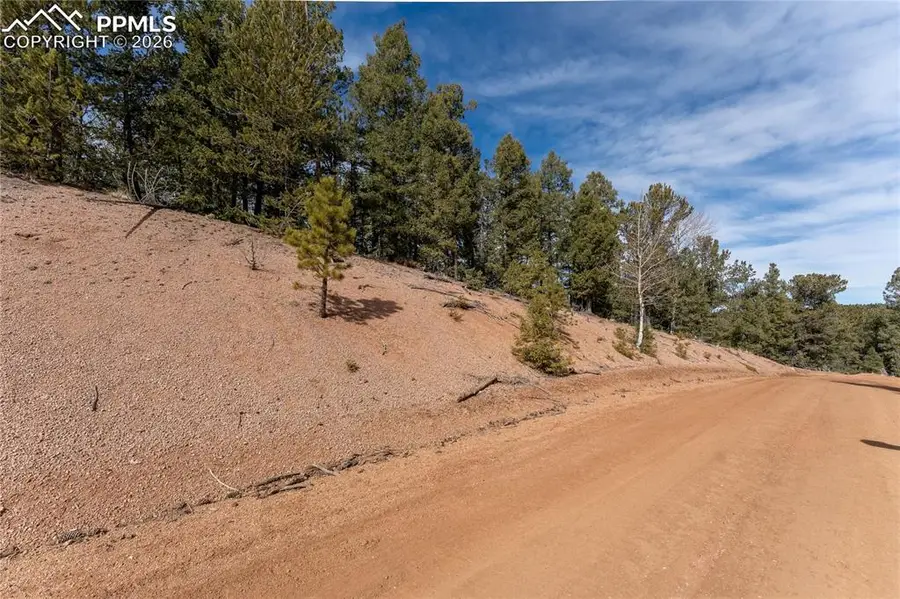 107 Haven Road, Divide, CO 80814 - #2