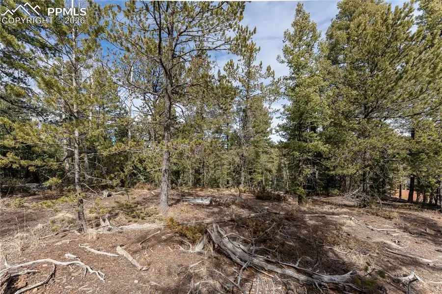 107 Haven Road, Divide, CO 80814 - #3