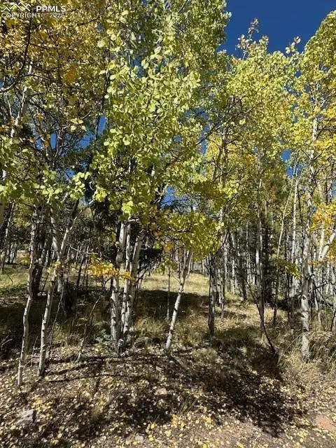 135 Powderhorn Lane, Lake George, CO 80827