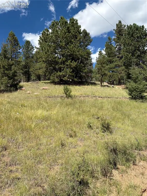 3190 N Mountain Estates Road, Florissant, CO 80816 - Image #1