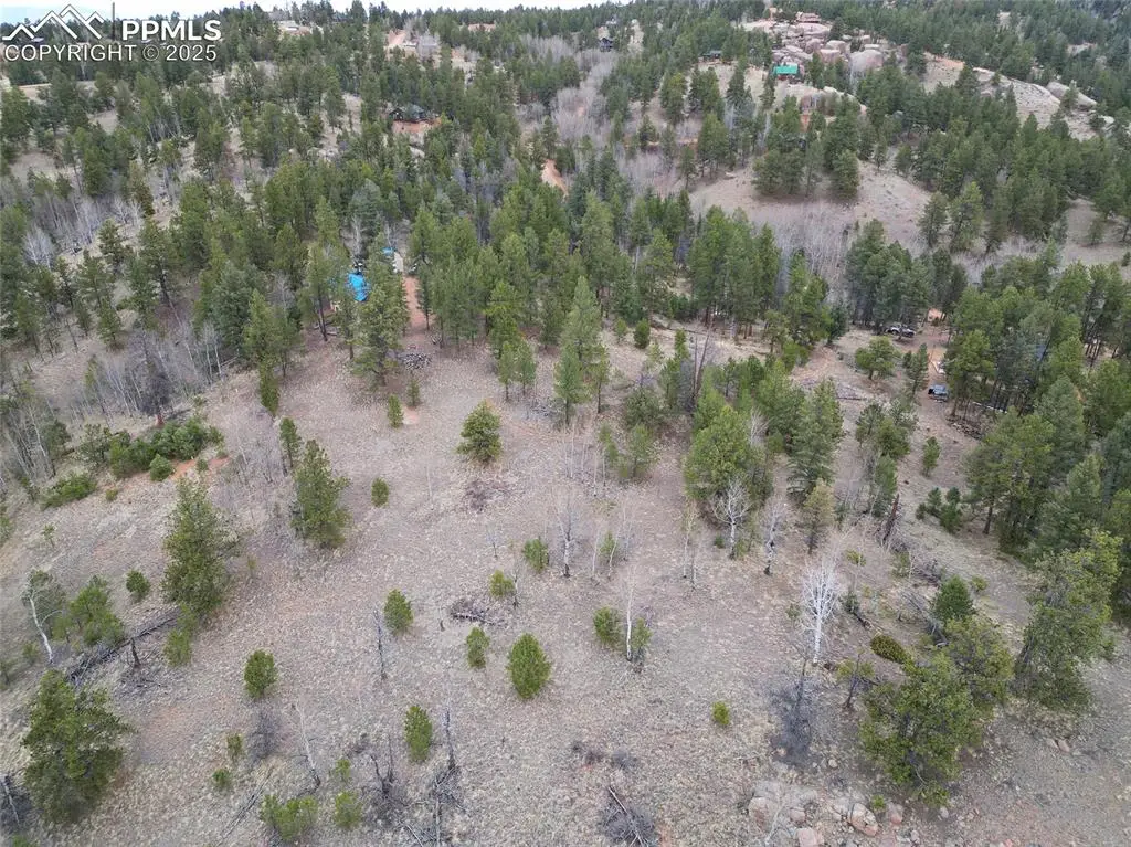 475 Pinon Lane, Florissant, CO 80816 - Image #1