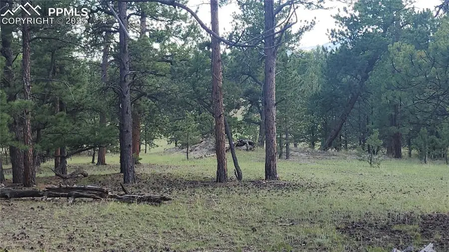 101 B1 Ring Road, Guffey, CO 80820 - Image #3