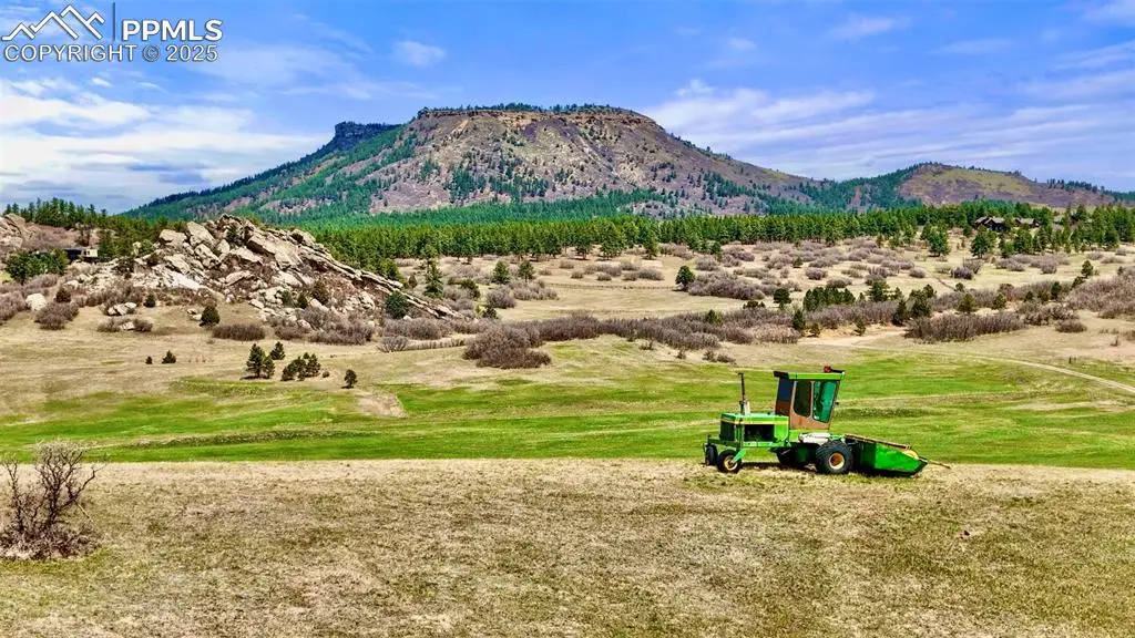 2801 Verbena Drive, Larkspur, CO 80118 - Image #1