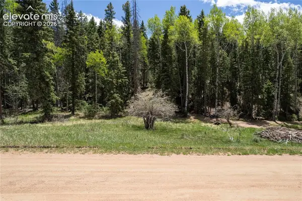 546 Spring Valley Lane, Florissant, CO 80816