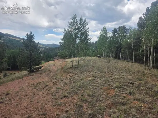 1124 Yorktown Road, Cripple Creek, CO 80813