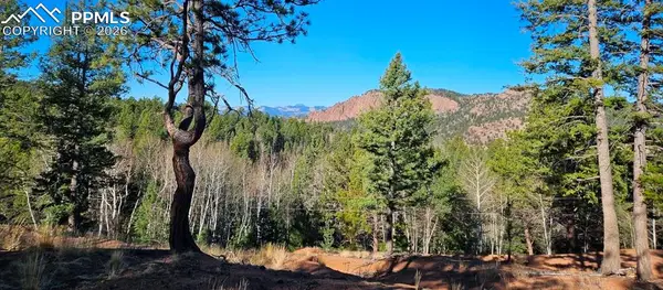 652 Derby Drive, Cripple Creek, CO 80813