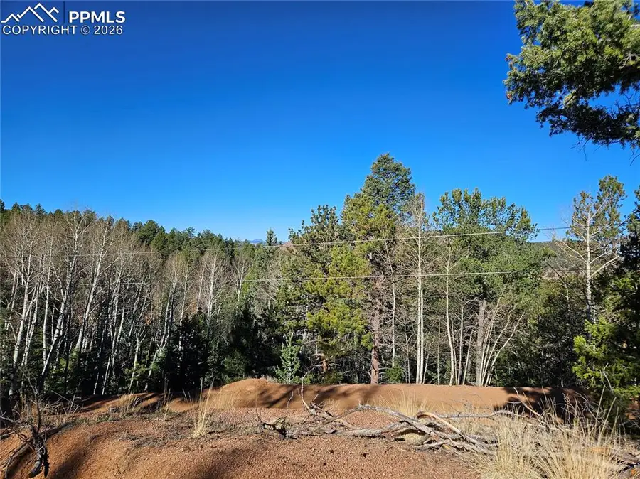 652 Derby Drive, Cripple Creek, CO 80813 - #3