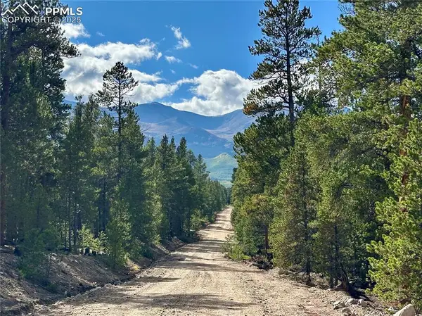 143 Fir Drive, Leadville, CO 80461