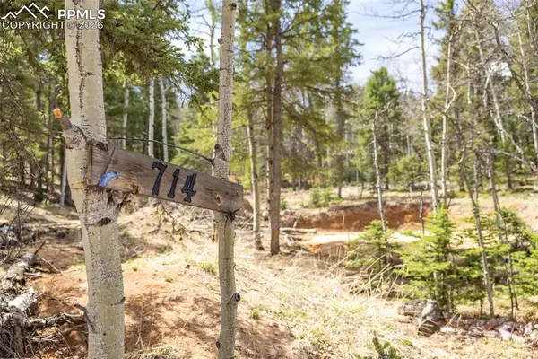 714 Will Stutley Drive, Divide, CO 80814