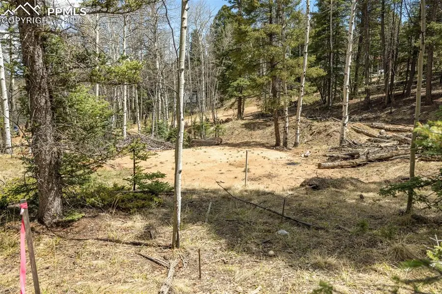 714 Will Stutley Drive, Divide, CO 80814 - #2