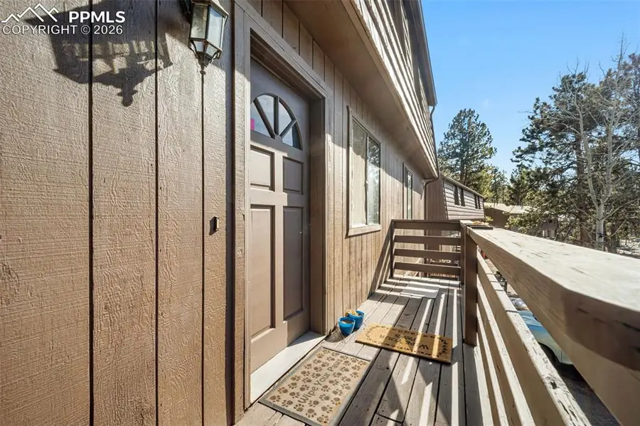 554 Manor Court #C, Woodland Park, CO 80863 - #2