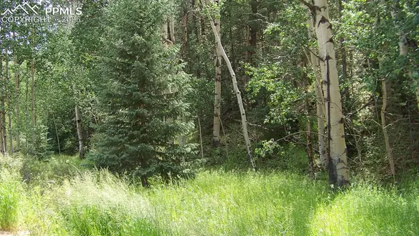 19 Princess Road, Cripple Creek, CO 80813