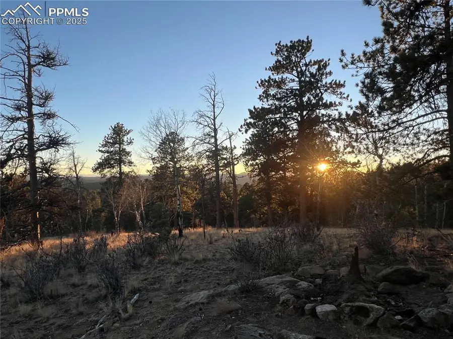 4687 W Highway 24, Florissant, CO 80816 - Image #3