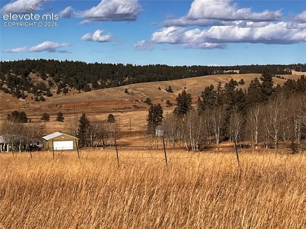 216 Will Scarlet Drive, Divide, CO 80814