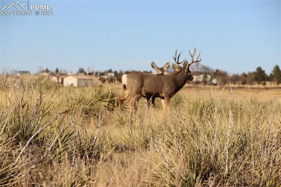 2907 S Solberg Court, Peyton, CO 80831 - Image #3