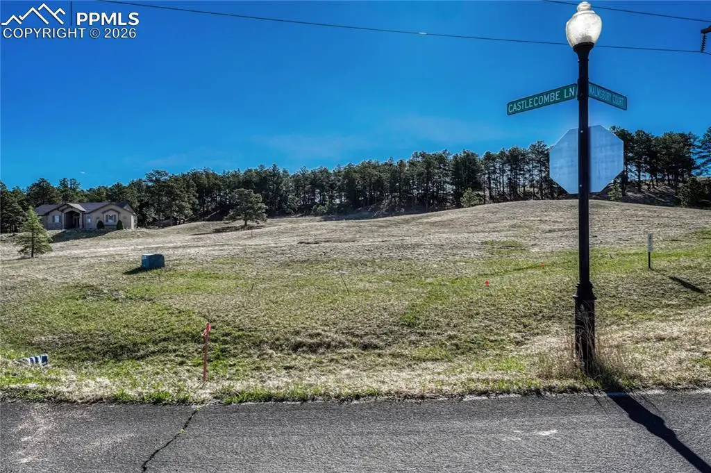 19089 Malmsbury Court, Monument, CO 80132 - #1