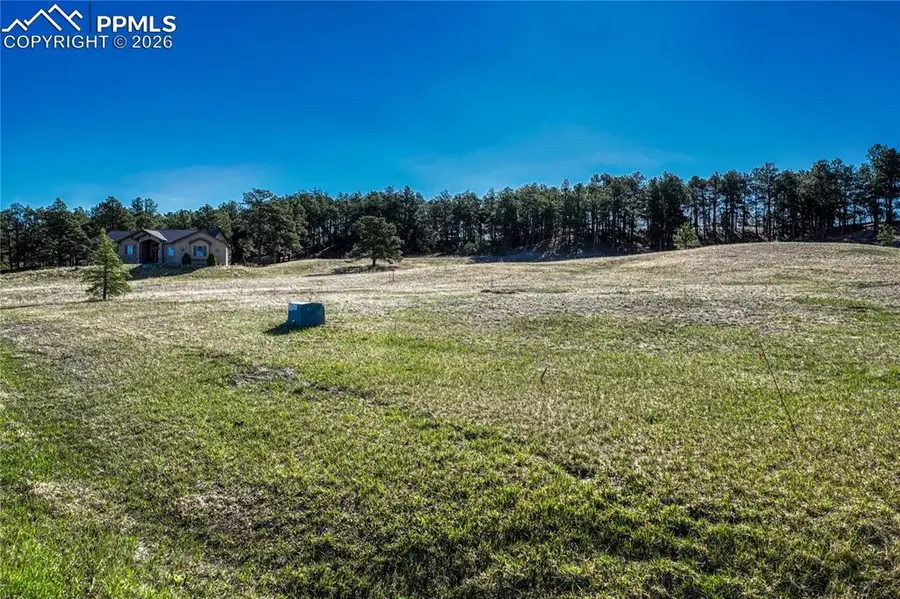 19089 Malmsbury Court, Monument, CO 80132 - #2