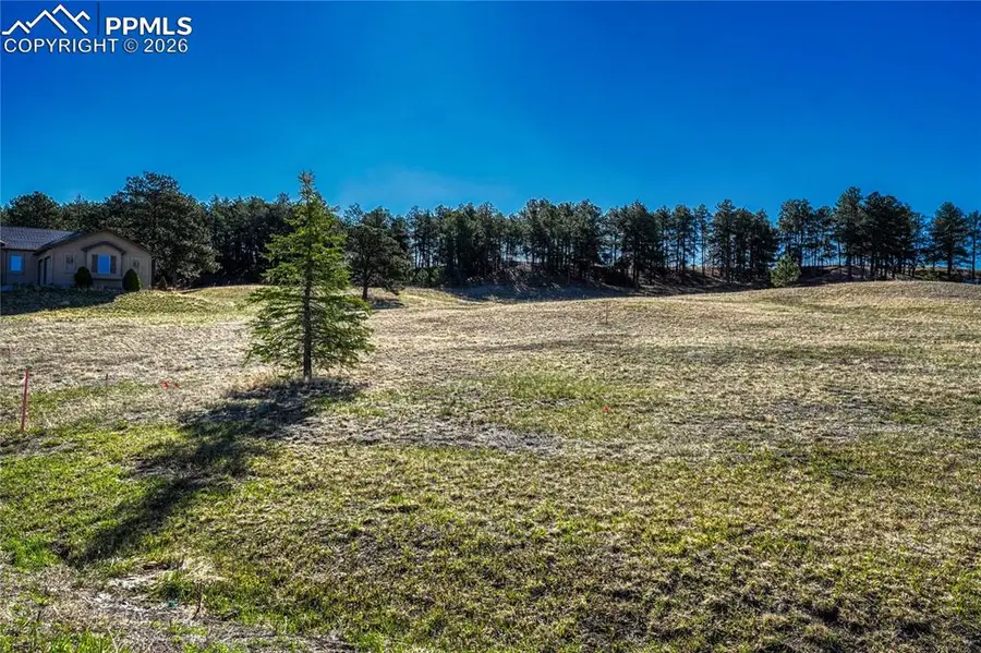 19089 Malmsbury Court, Monument, CO 80132 - #3