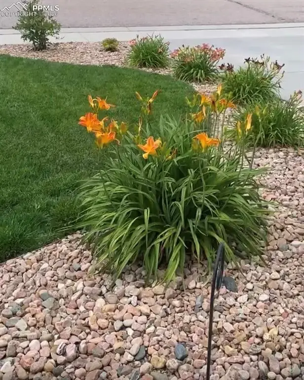 10853 Torreys Peak Way, Peyton, CO 80831 - Image #3