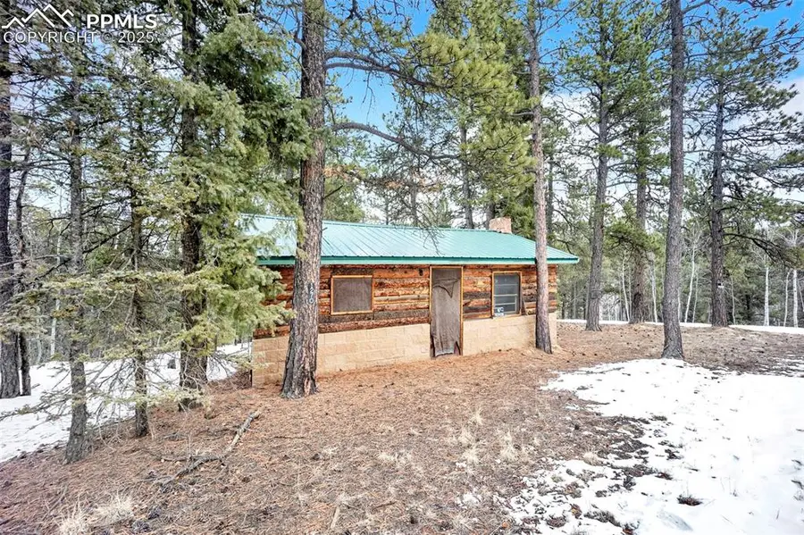 Blossom Road, Woodland Park, CO 80863 - Image #2