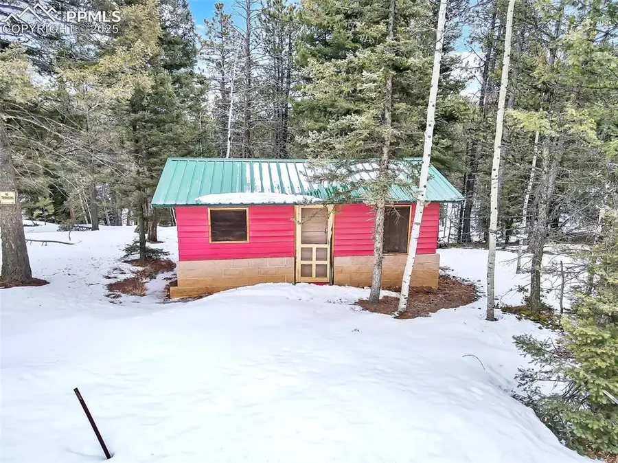 Blossom Road, Woodland Park, CO 80863 - Image #3