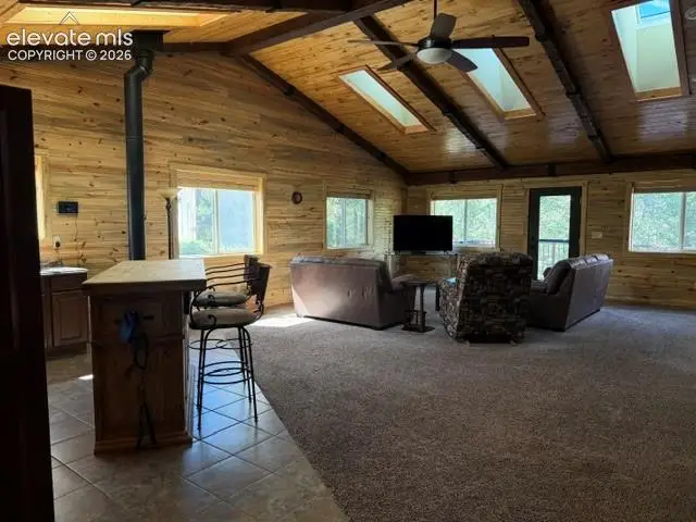 269 Southpark Road, Florissant, CO 80816 - #3