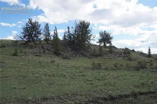 1022 Walls Street, Hartsel, CO 80449