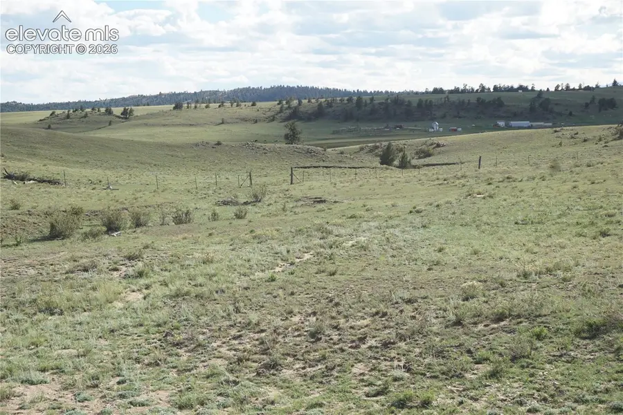 1022 Walls Street, Hartsel, CO 80449 - #2