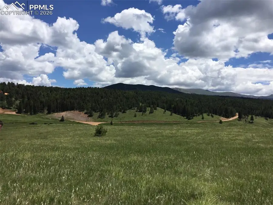 4600 Elk Valley Road, Divide, CO 80814 - #3