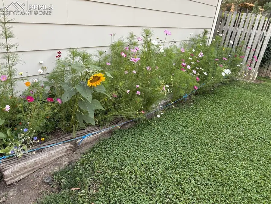 4127 Palmer Park Boulevard, Colorado Springs, CO 80909 - Image #3