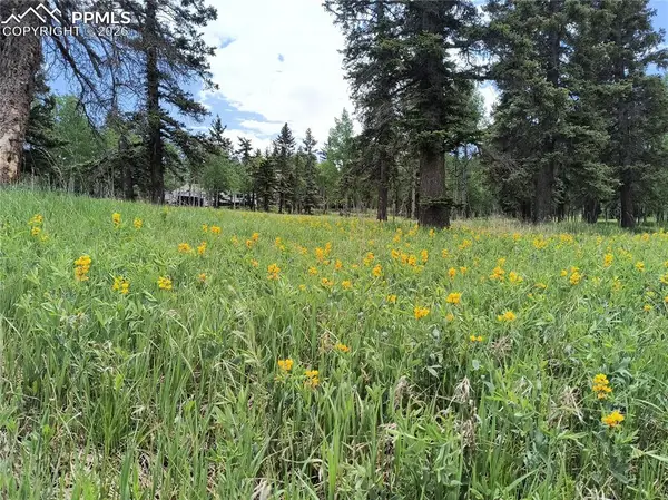 Will Scarlet Drive, Divide, CO 80814