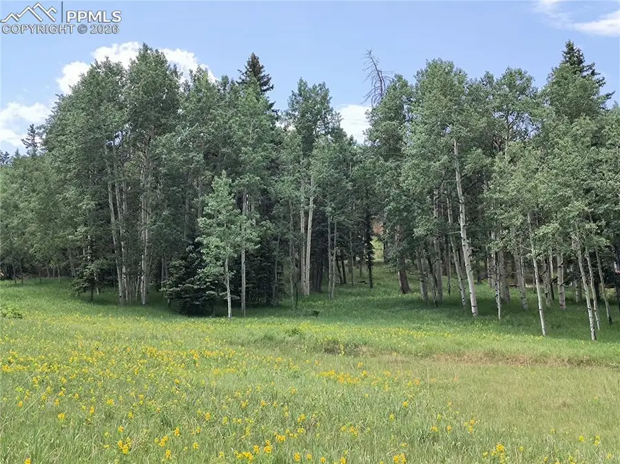 Will Scarlet Drive, Divide, CO 80814 - #2