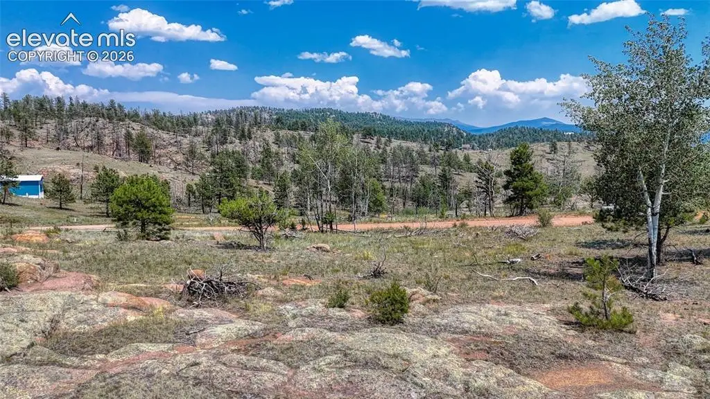 617 Chateau Vista, Florissant, CO 80816 - #1