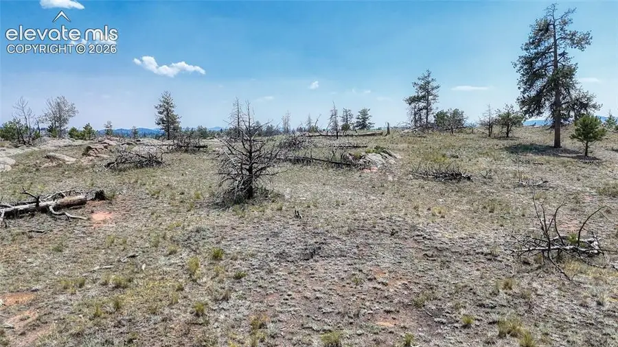 617 Chateau Vista, Florissant, CO 80816 - #2