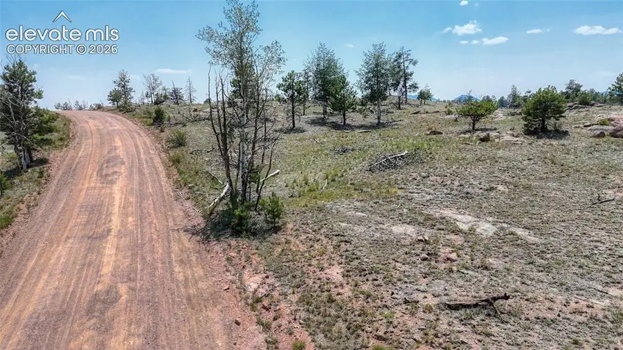 617 Chateau Vista, Florissant, CO 80816 - #3