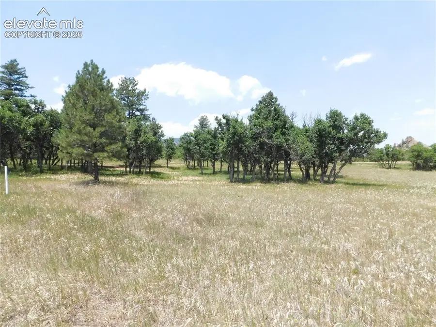 5980 Country Club Drive, Larkspur, CO 80118 - #3
