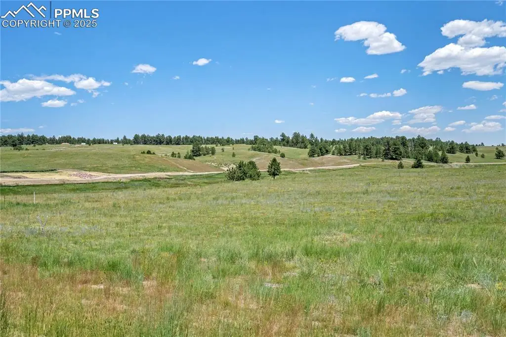 10957 Alamar Way, Colorado Springs, CO 80908 - #1