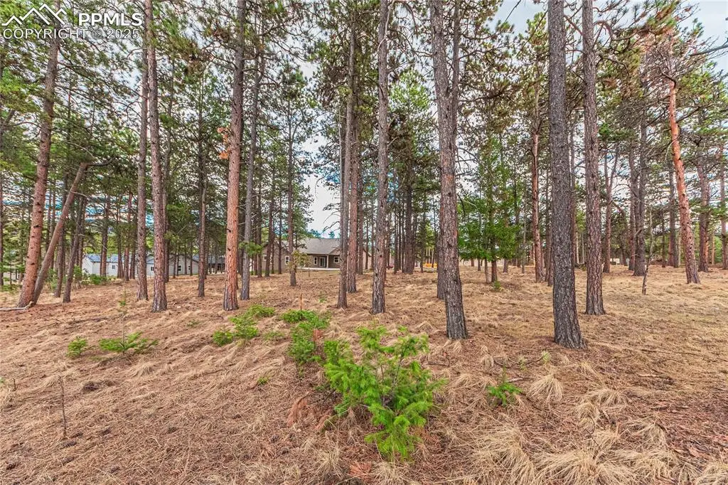 1290 Firestone Drive, Woodland Park, CO 80863 - #1